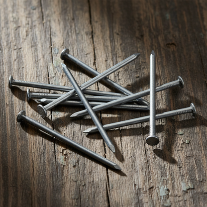 Galvanised Steel Round Head Nails | Heavy Duty Corrosion-Resistant for Outdoor - DIYUK